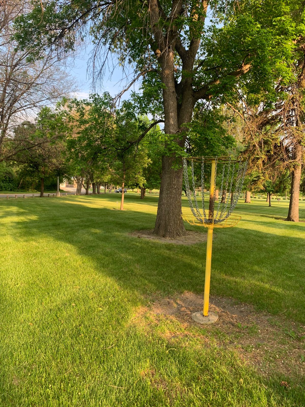 View of hole 5 basket