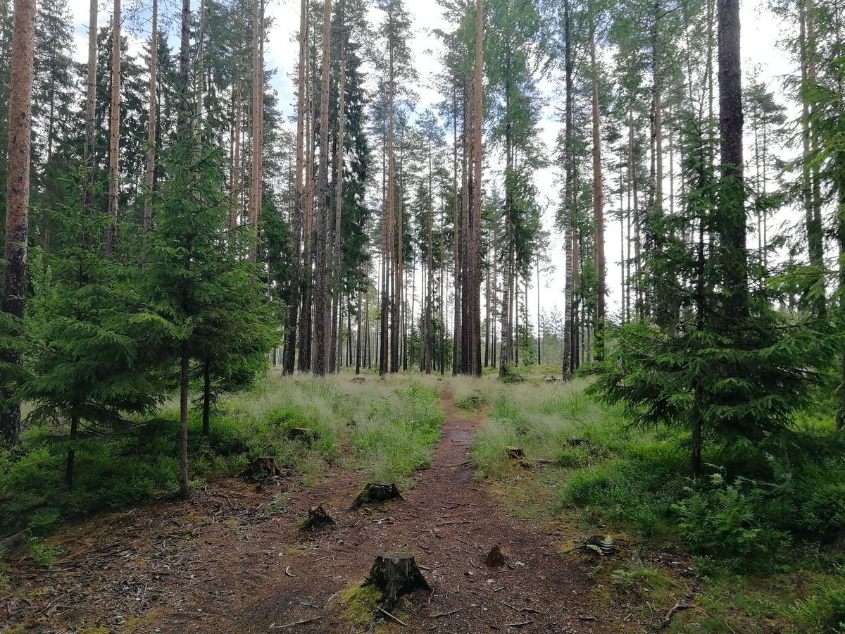 #17 tiiltä