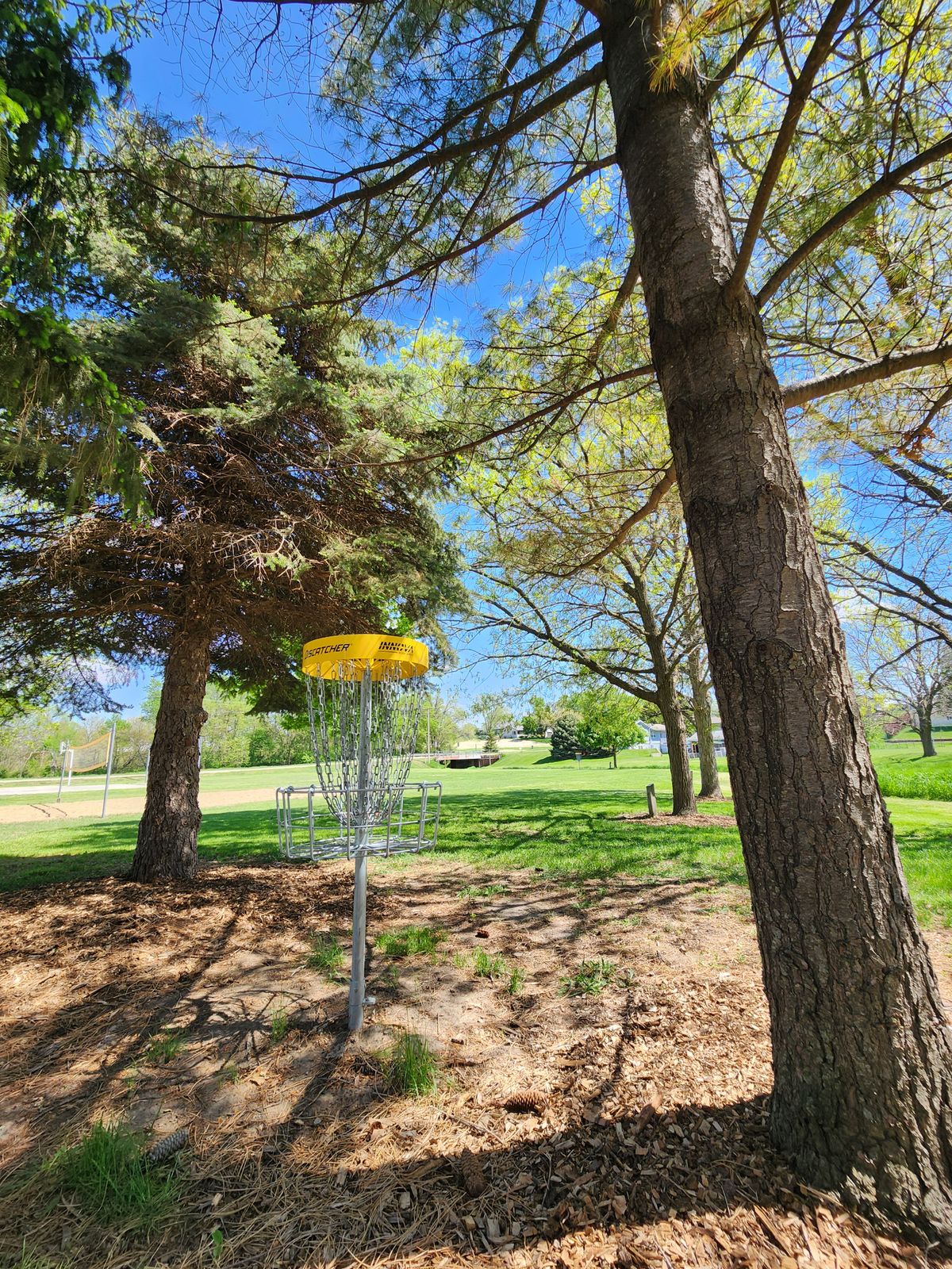 Hole 9 Basket