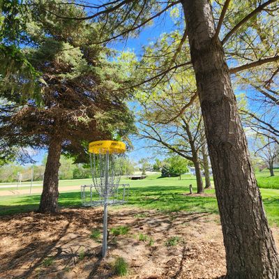 Hole 9 Basket