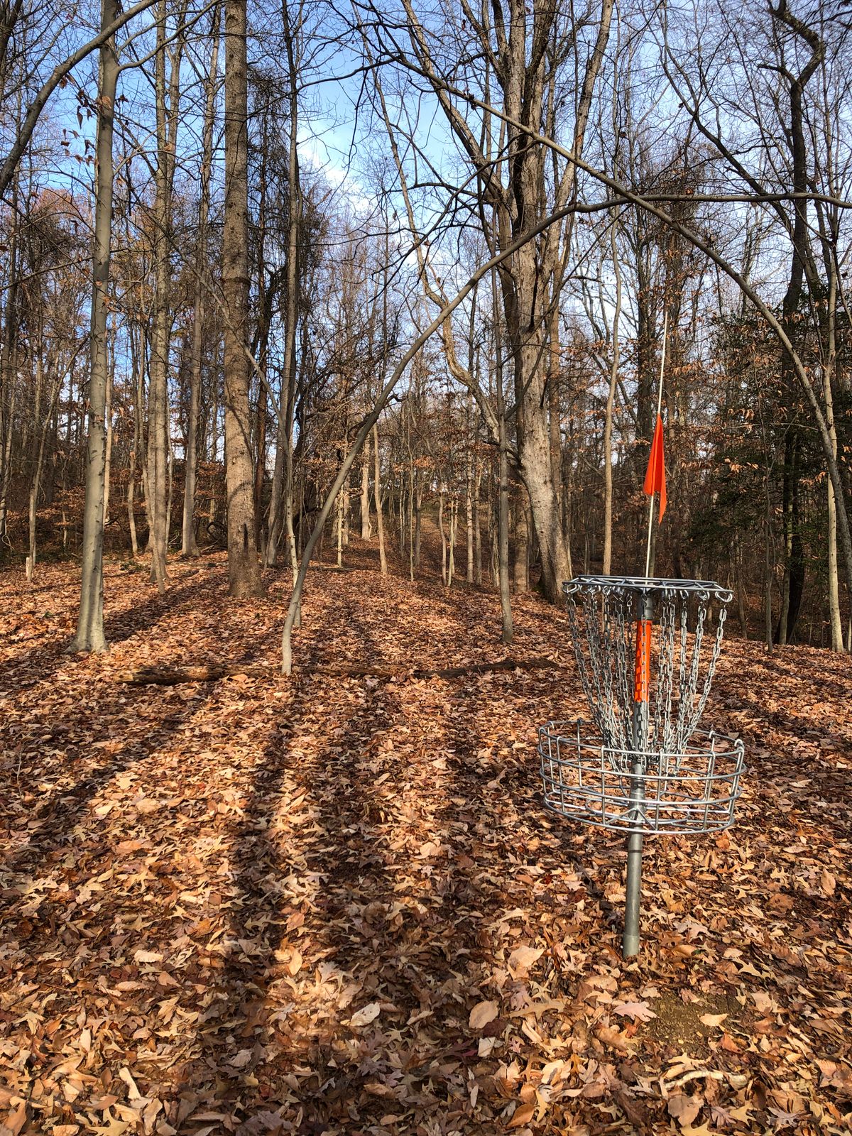 Hole 8 basket (looking uphill toward tee)