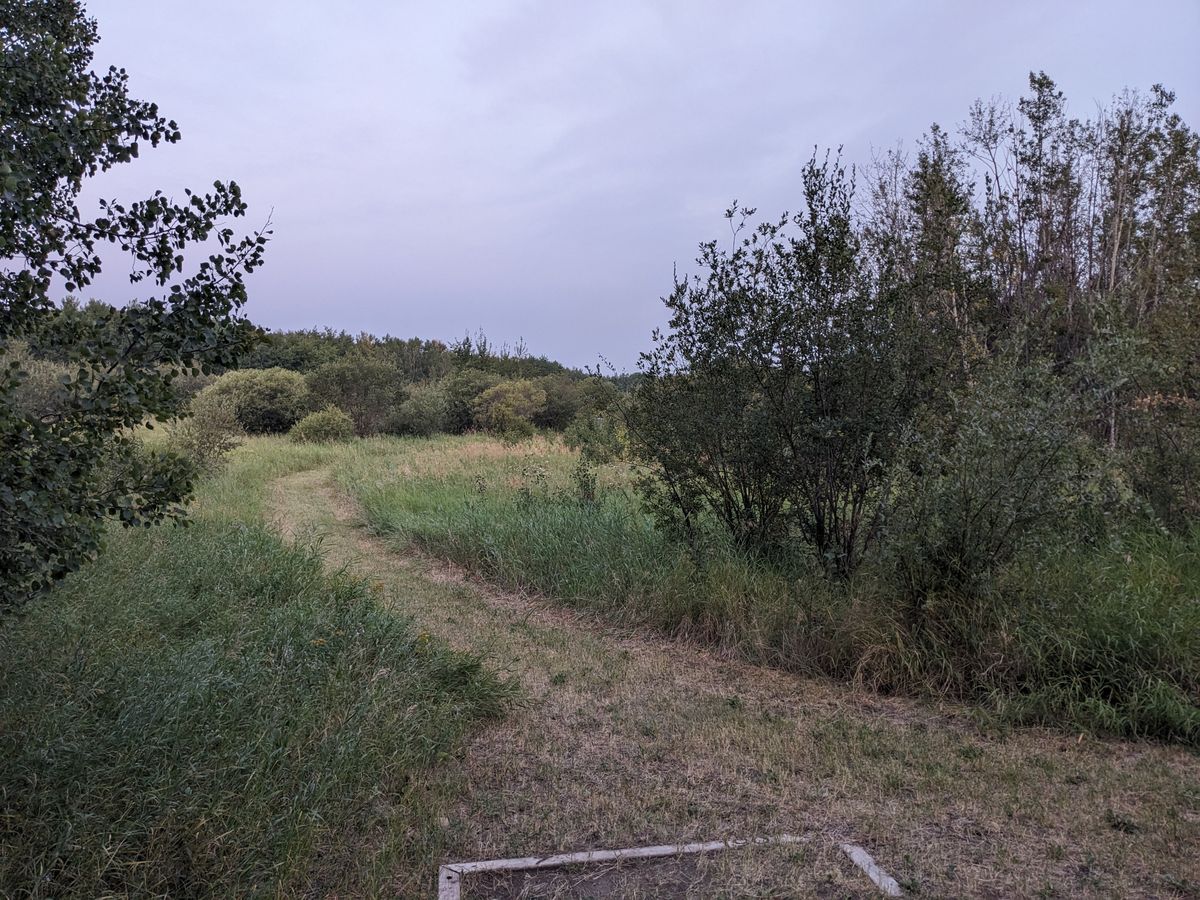 Hole 7, basket to the right
