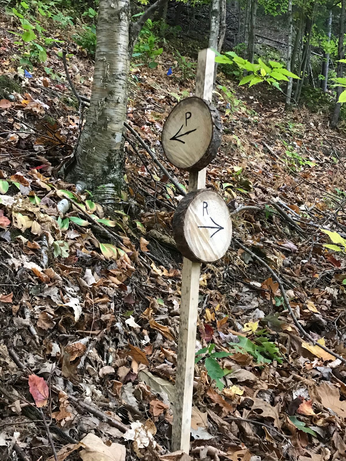 Follow the markers to your next tee! They’re hanging on every basket and at every fork between holes