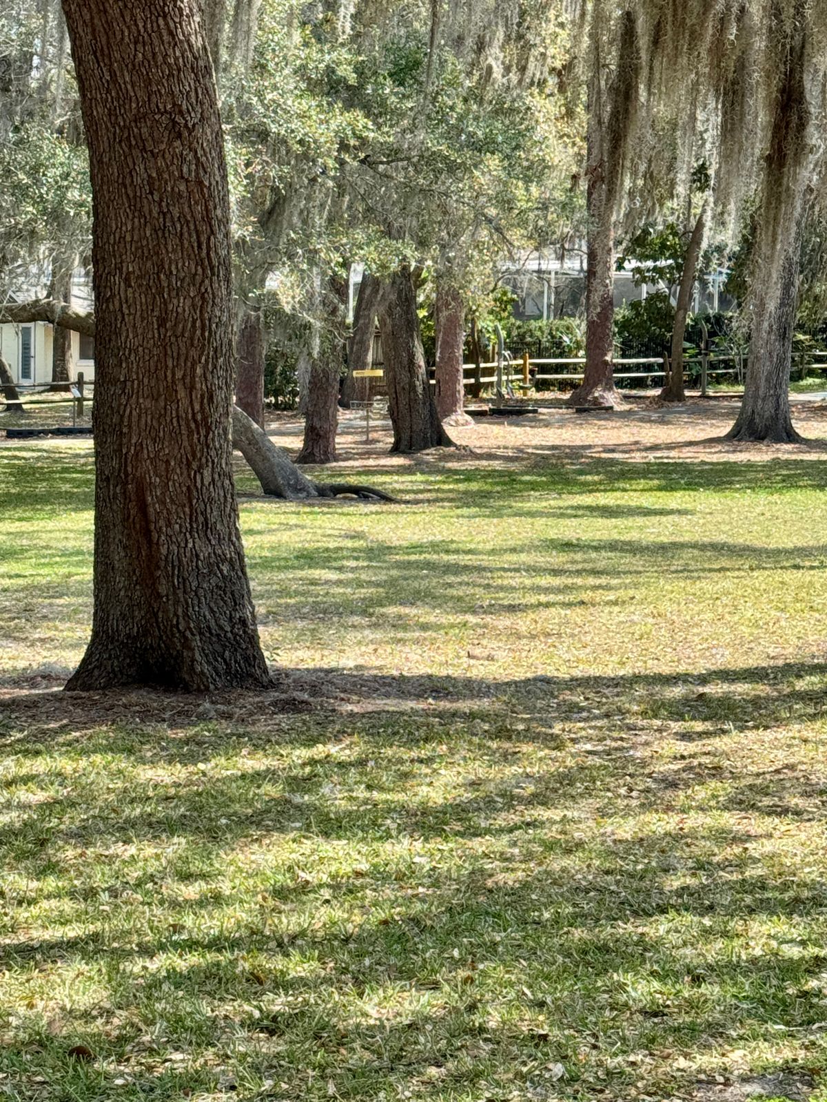 View of basket from hole 14