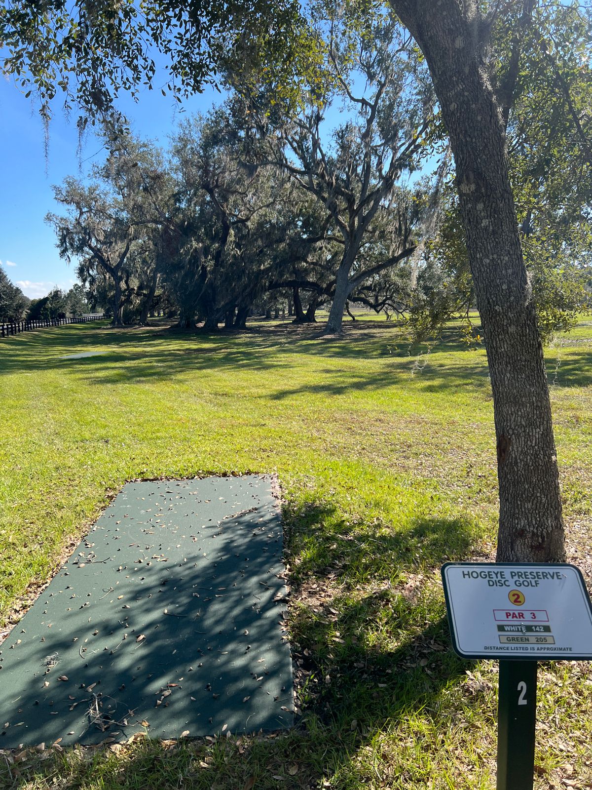 Hole 2 Green Tee