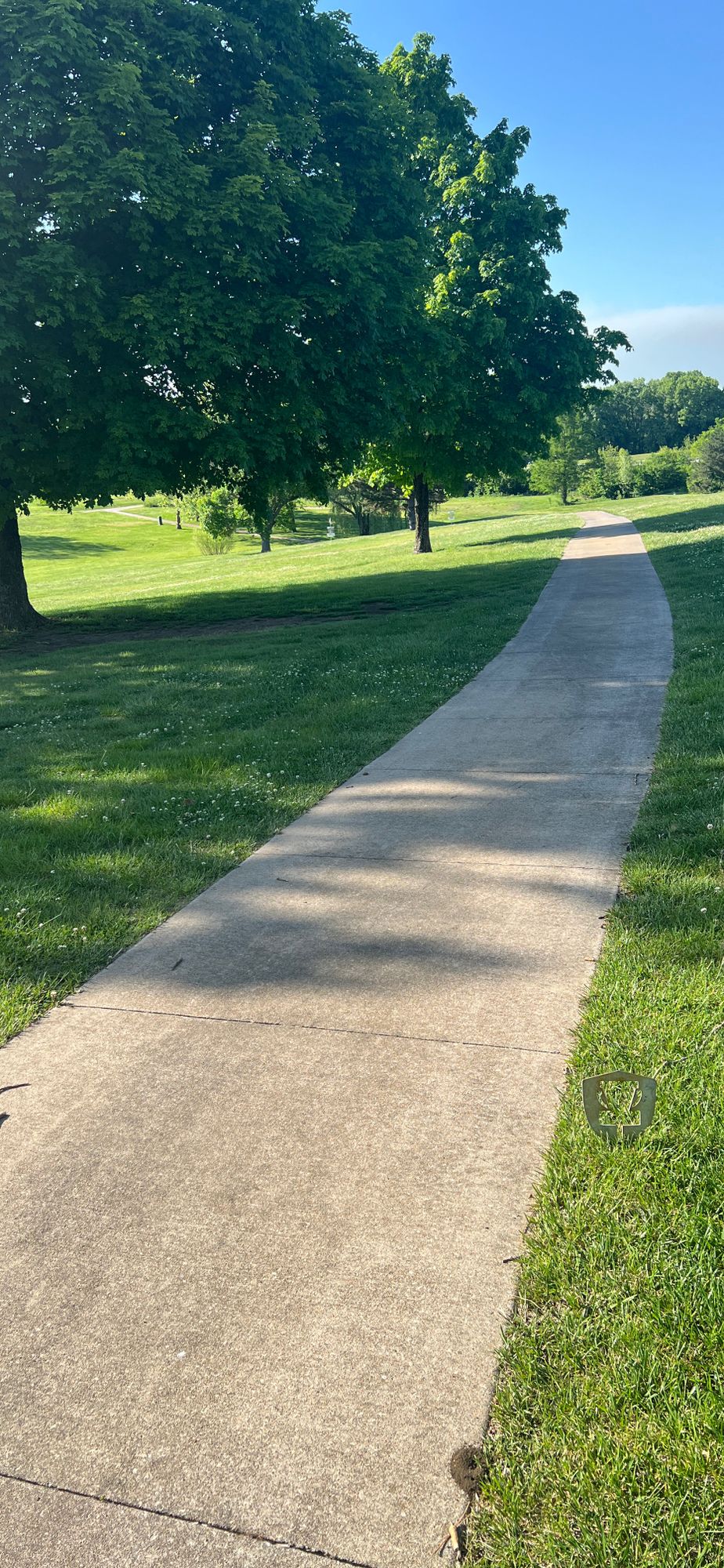 8 tee