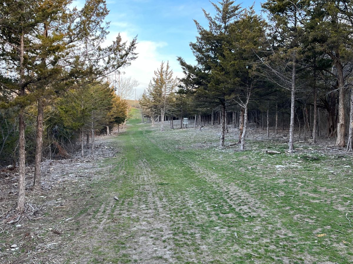 Hole 3 looking back towards tee box