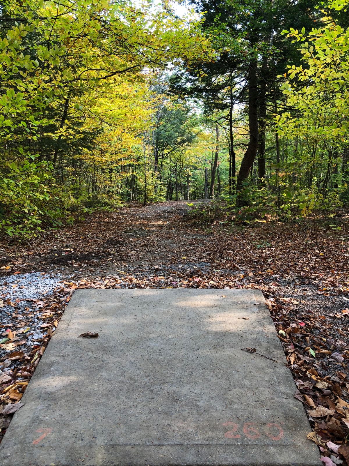 Hole 7 tee