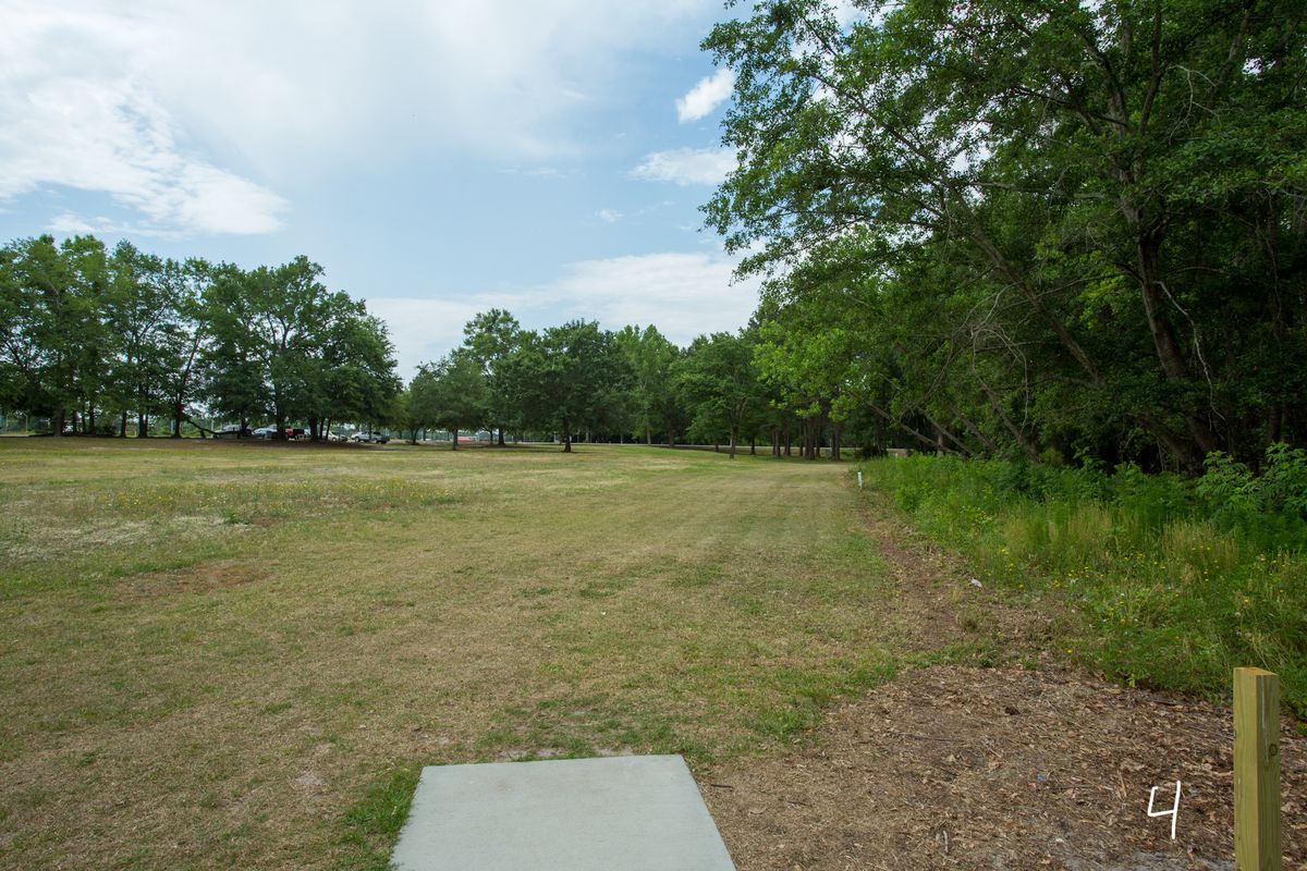 Two positions, under the big tree or bend to the right