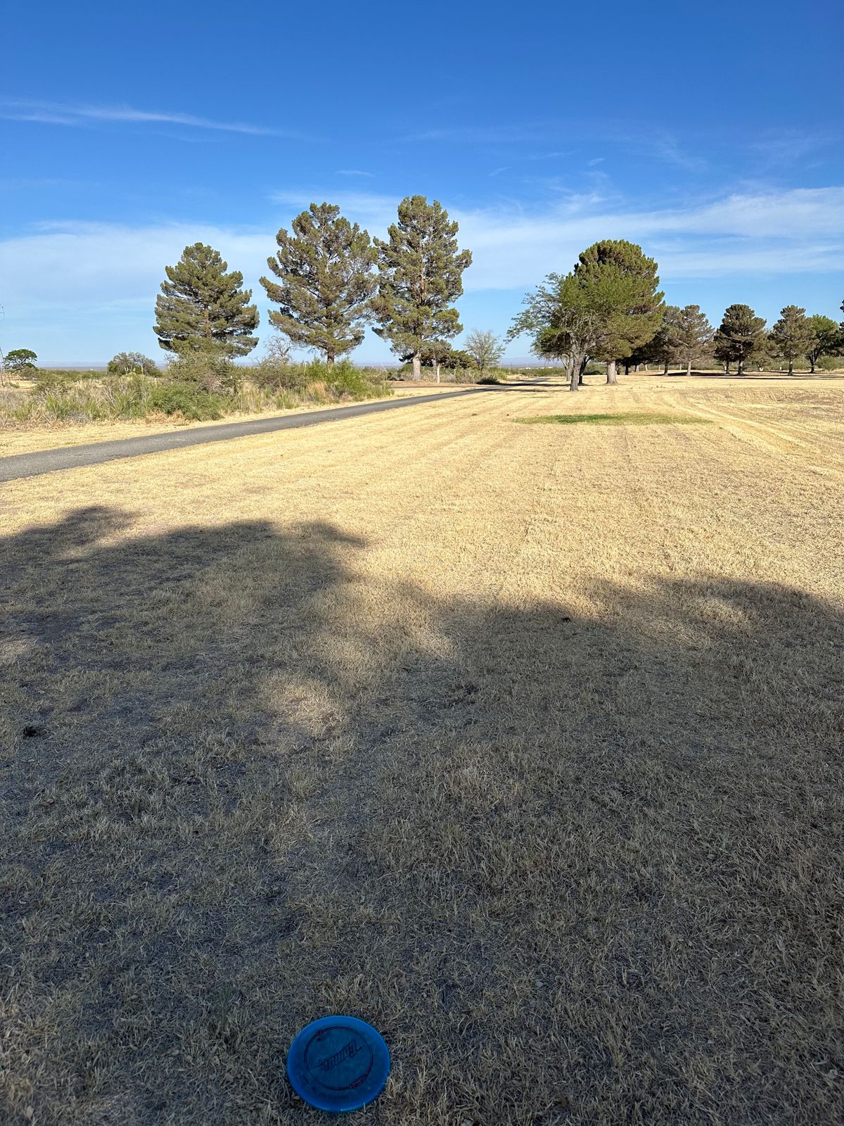 15 fairway