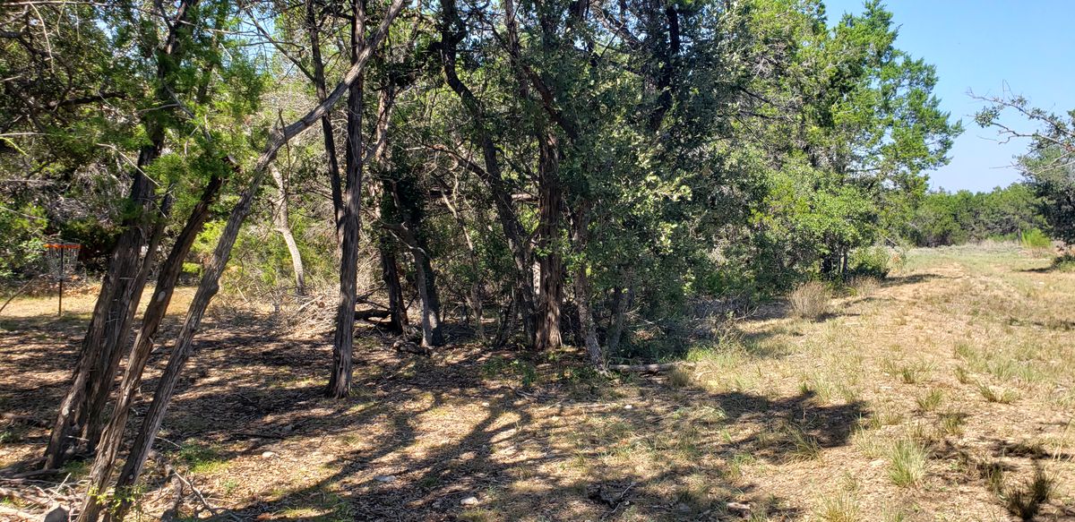Hole 6 basket
