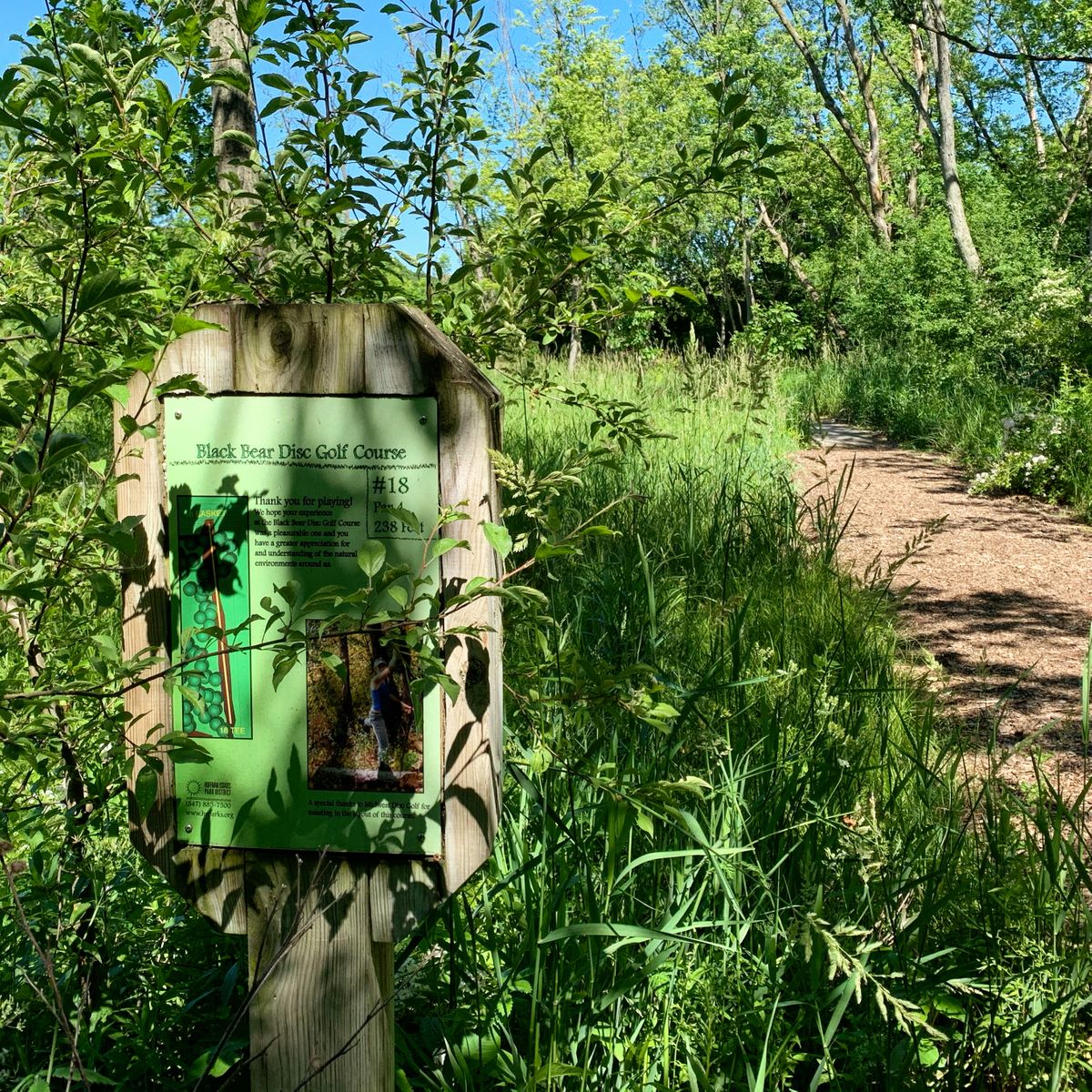 Hole 18 tee box
