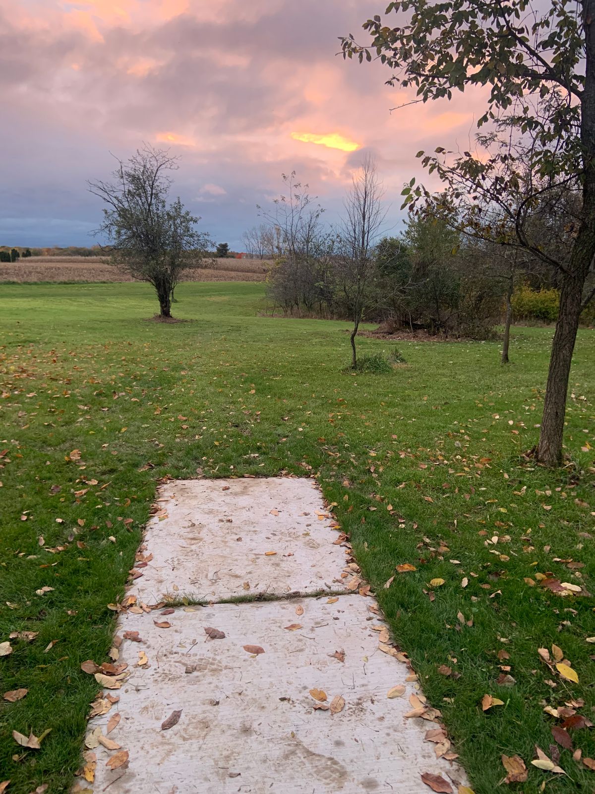 Hole 18 tee pad