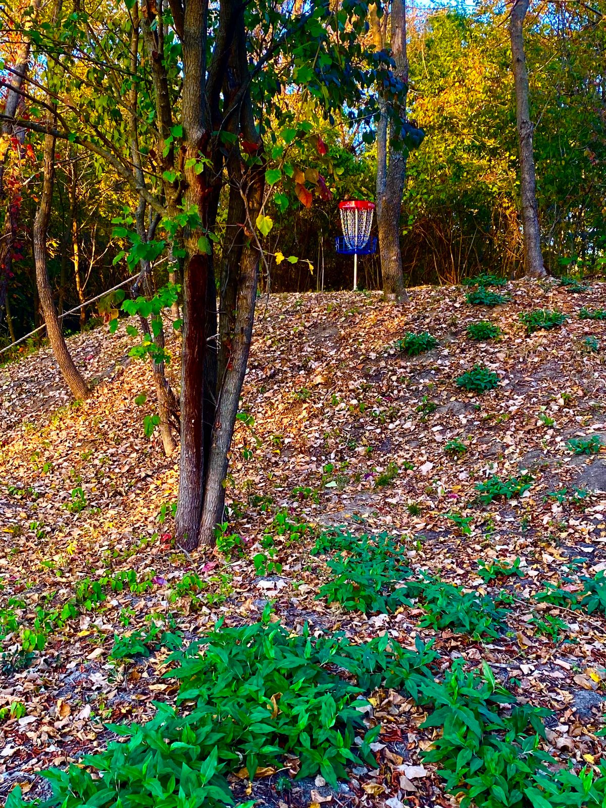 Hole #5 side of berm.