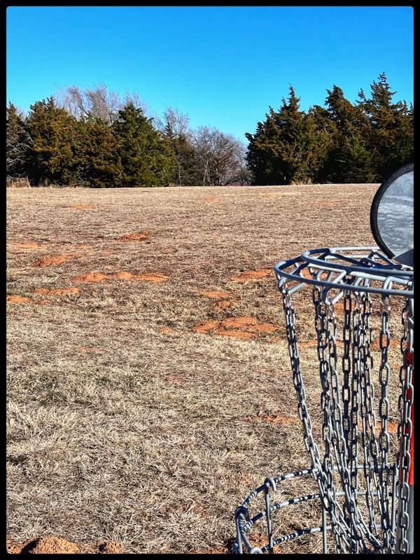 #12 basket looking back towards Tee