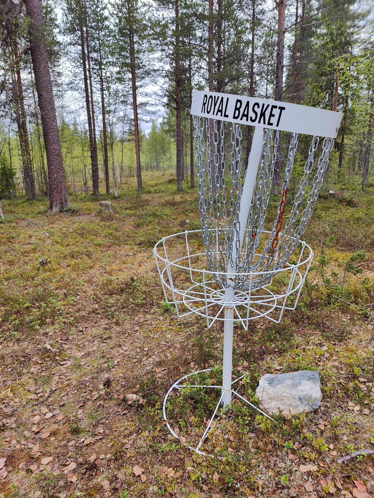 Someone had a pretty solid acerun on this basket.