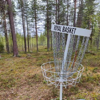 Someone had a pretty solid acerun on this basket.