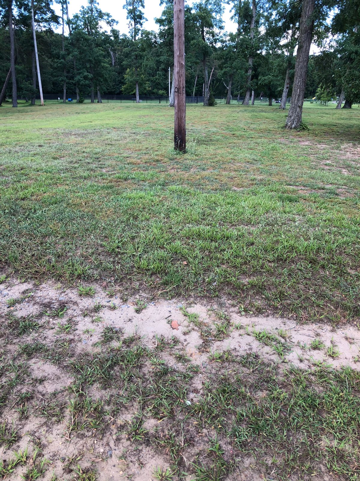 Hole #2 Tee Box - even with telephone pole in tacks playing down the hill.
