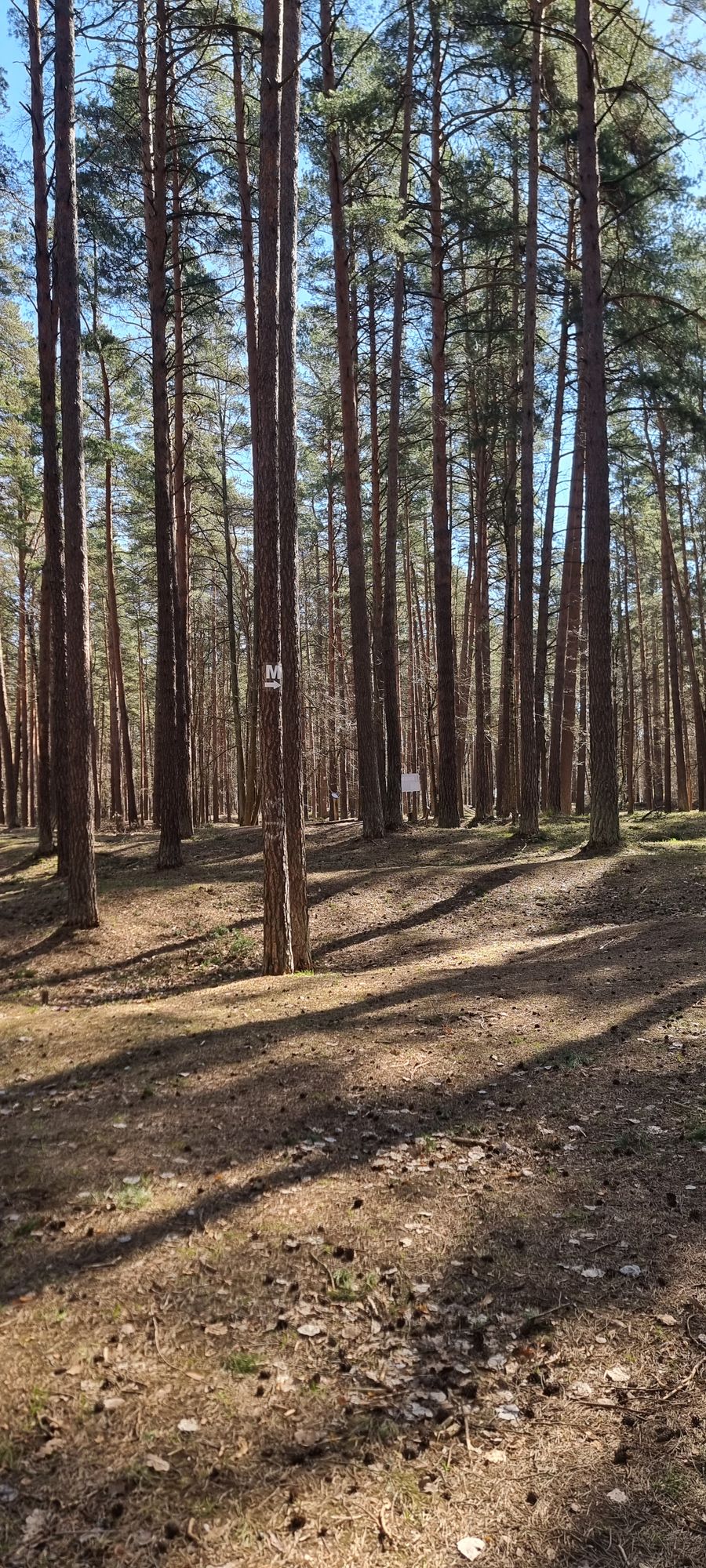 airBaltic Training Disc Golf Park
