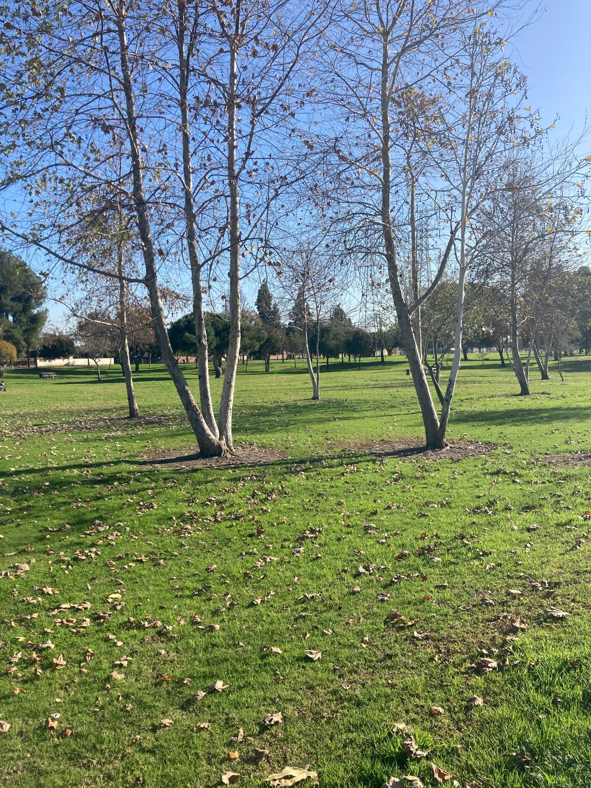 Hole 5 fairway