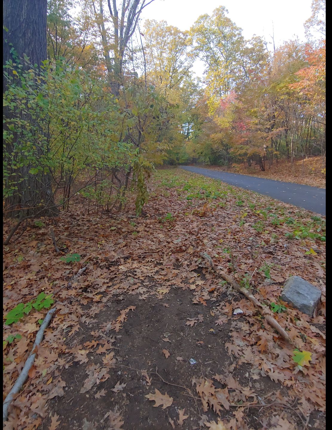 Hole 14 tee