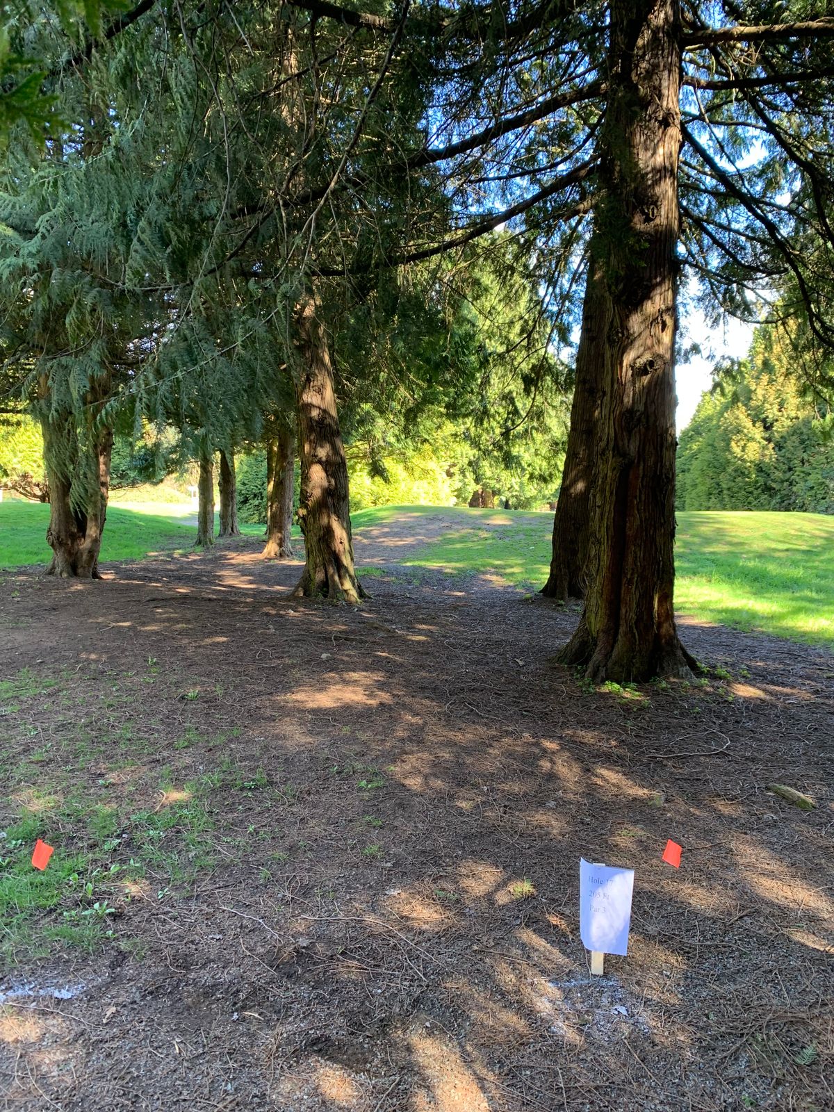 Rupert Pitch and Putt