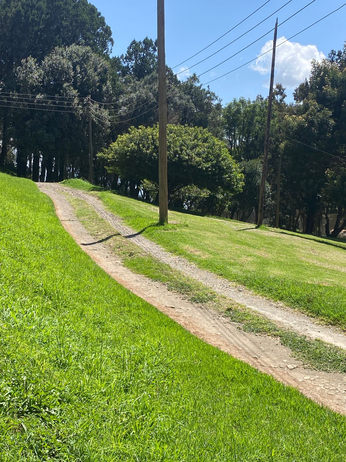Target of hole 6 (Telephone pole)