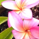 User avatar image