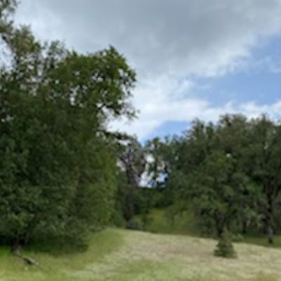 Course photo