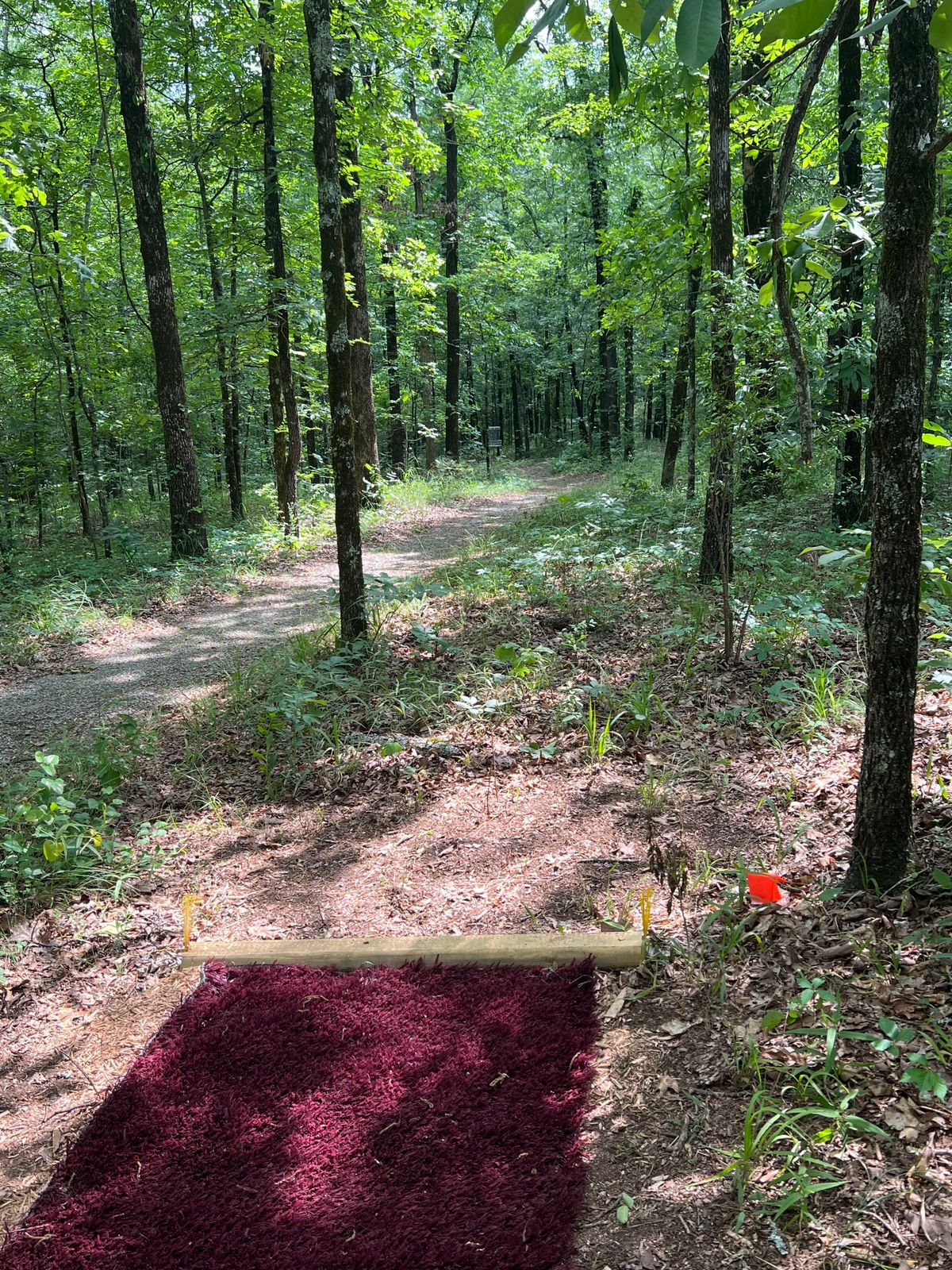 Hole 4 tee pad and basket. 153 feet