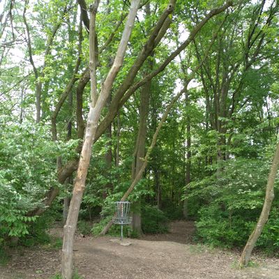 #4's basket starts heading into the woods