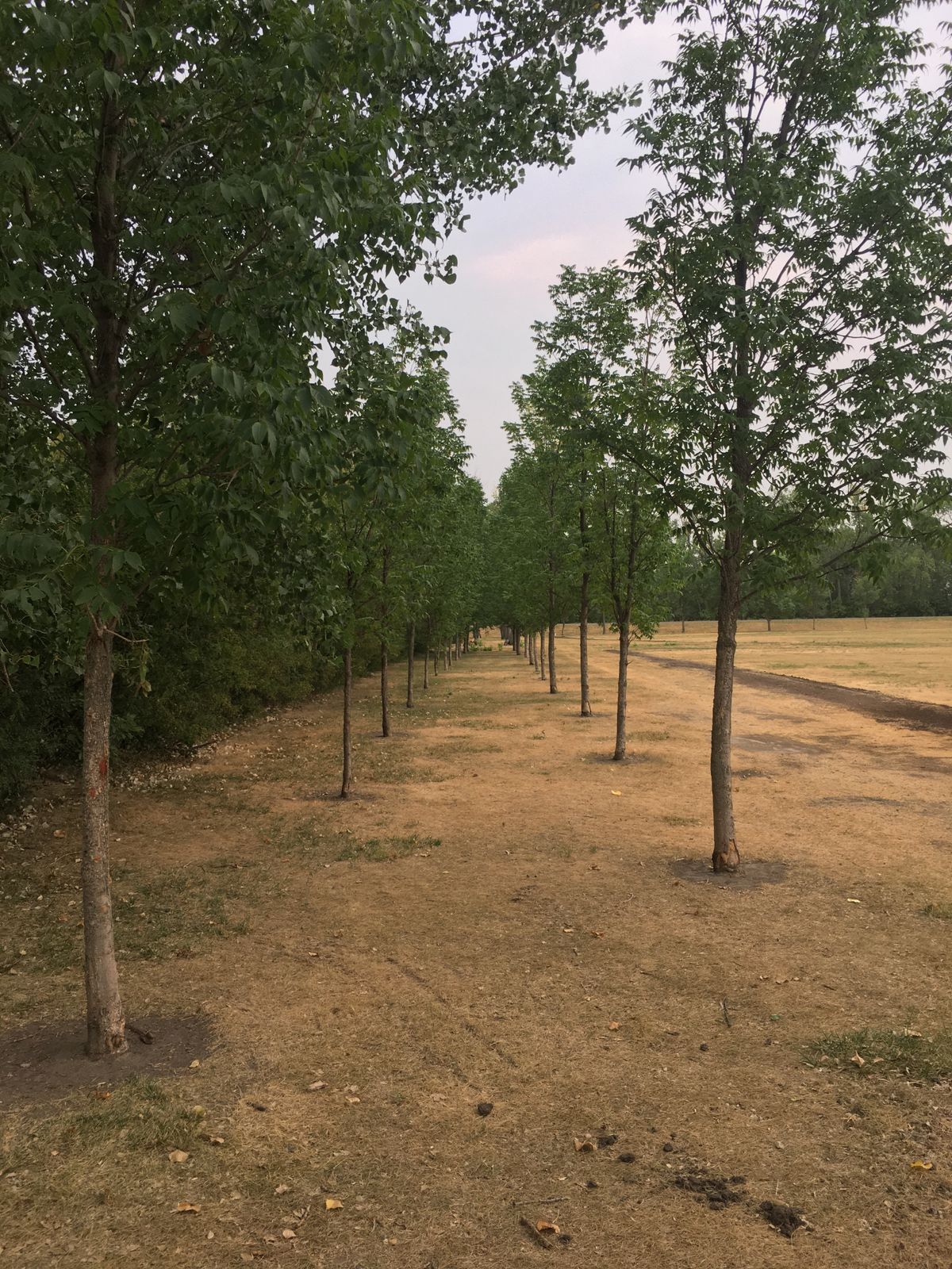 Hole 1