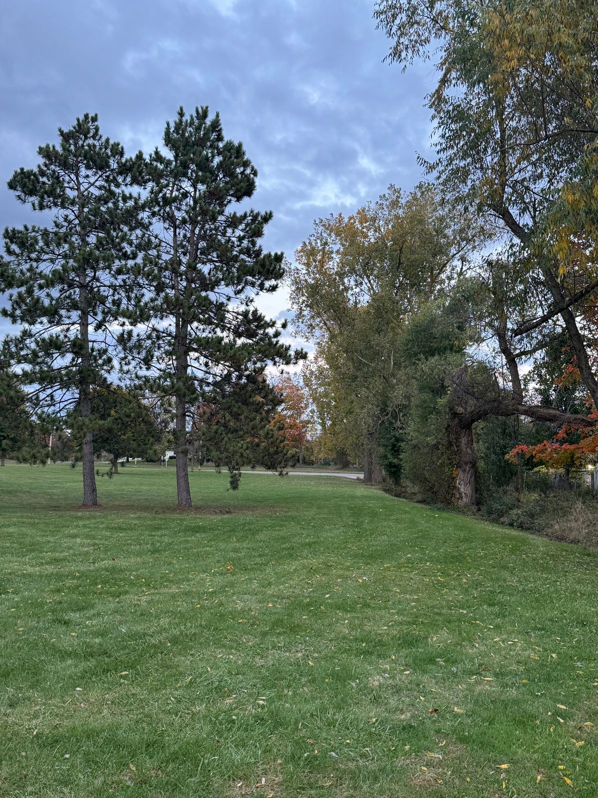 18 Fairway (looking towards basket)