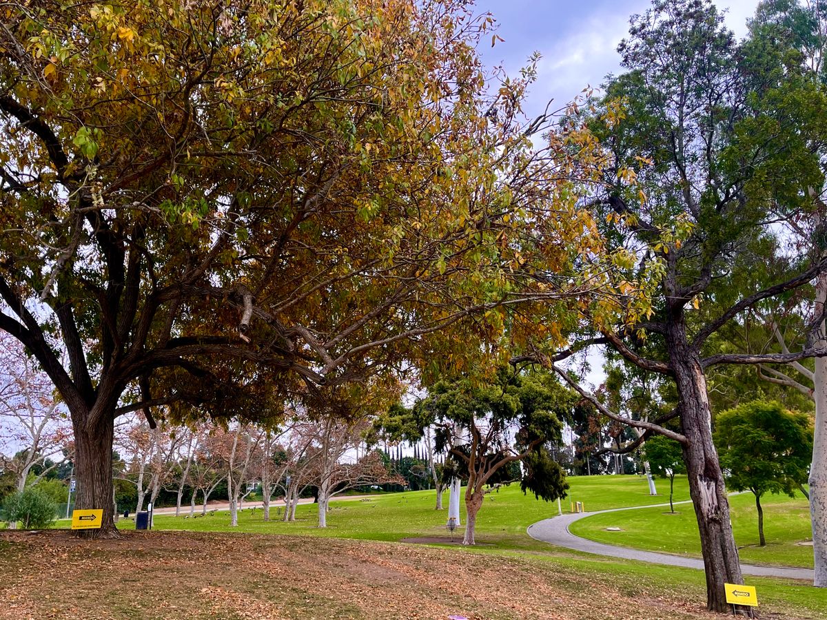 Hole 2