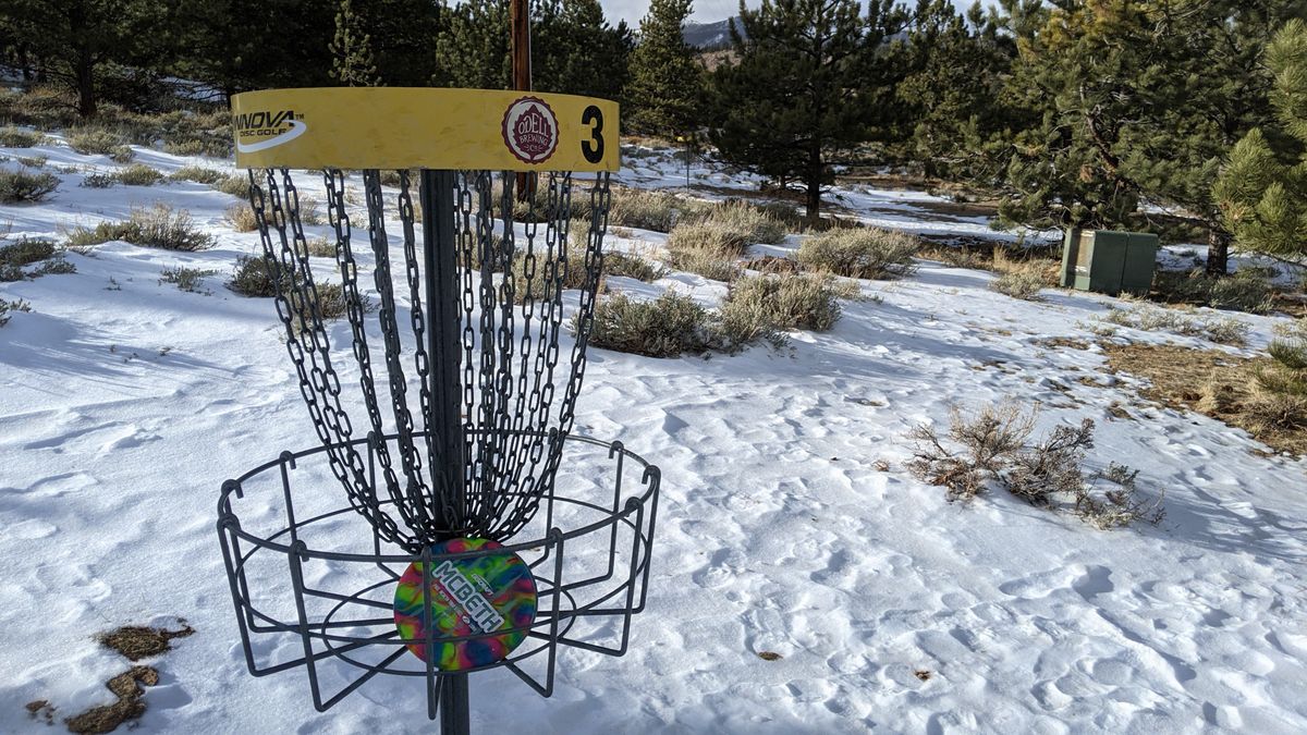 Hole 3 basket.