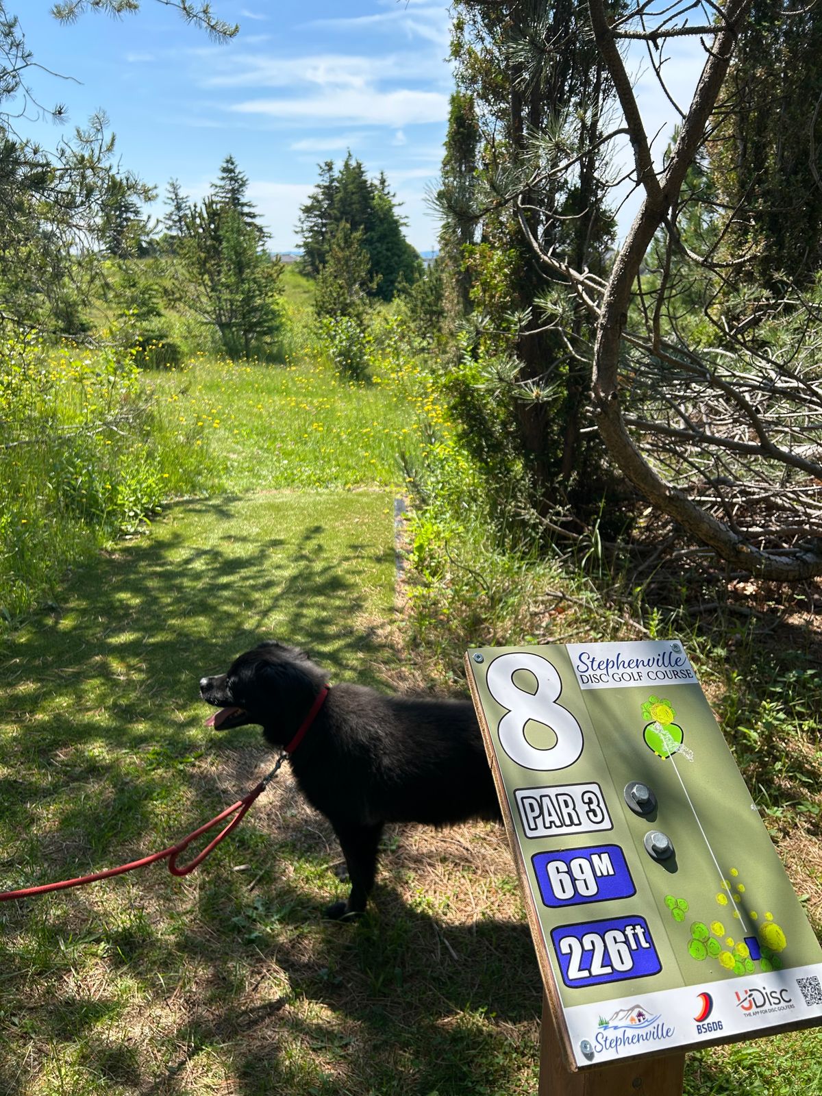 Hole 8 - long