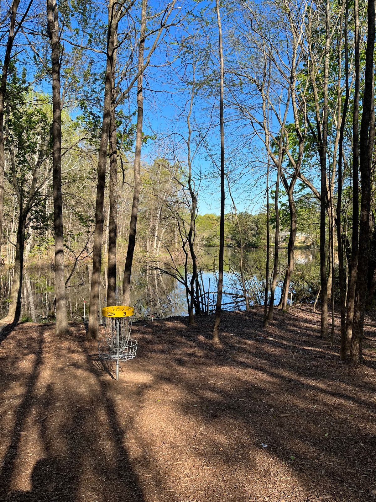 Hole 3 Basket