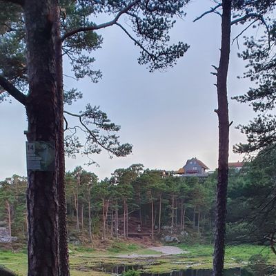 Blå tee hull 14