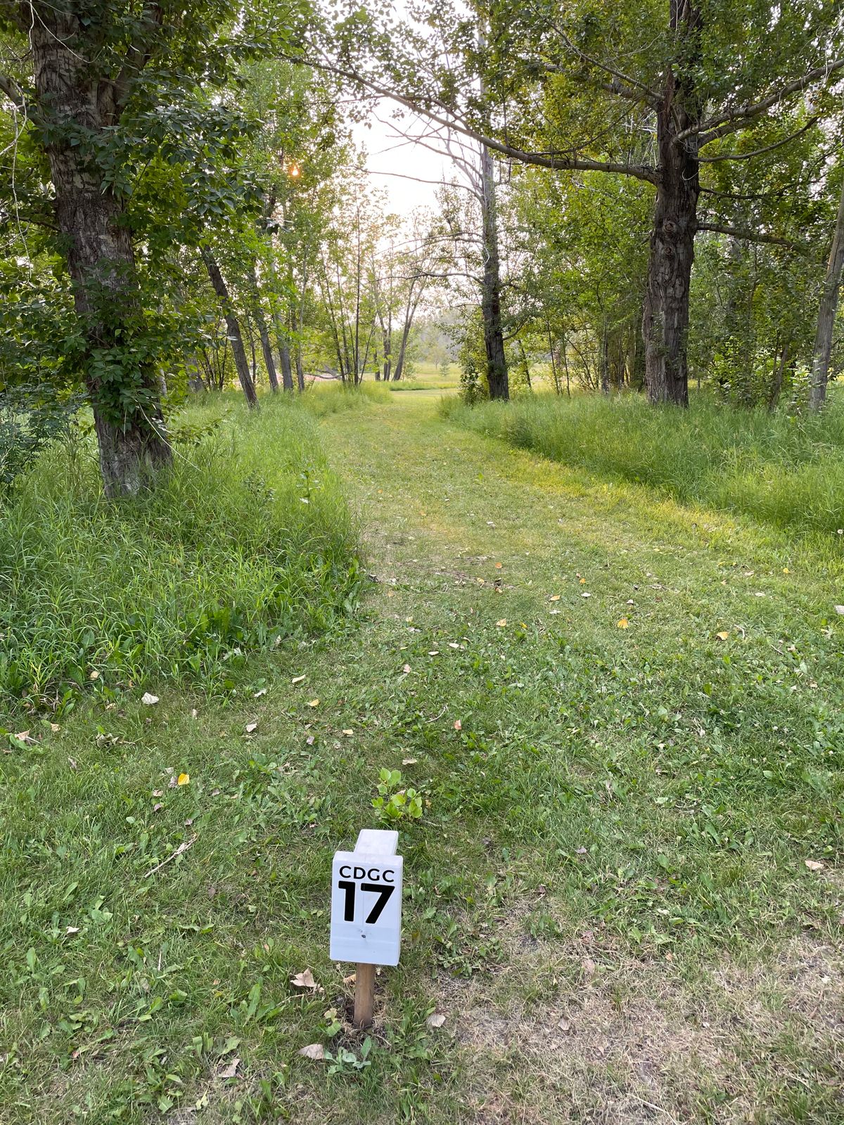 Hole 17
