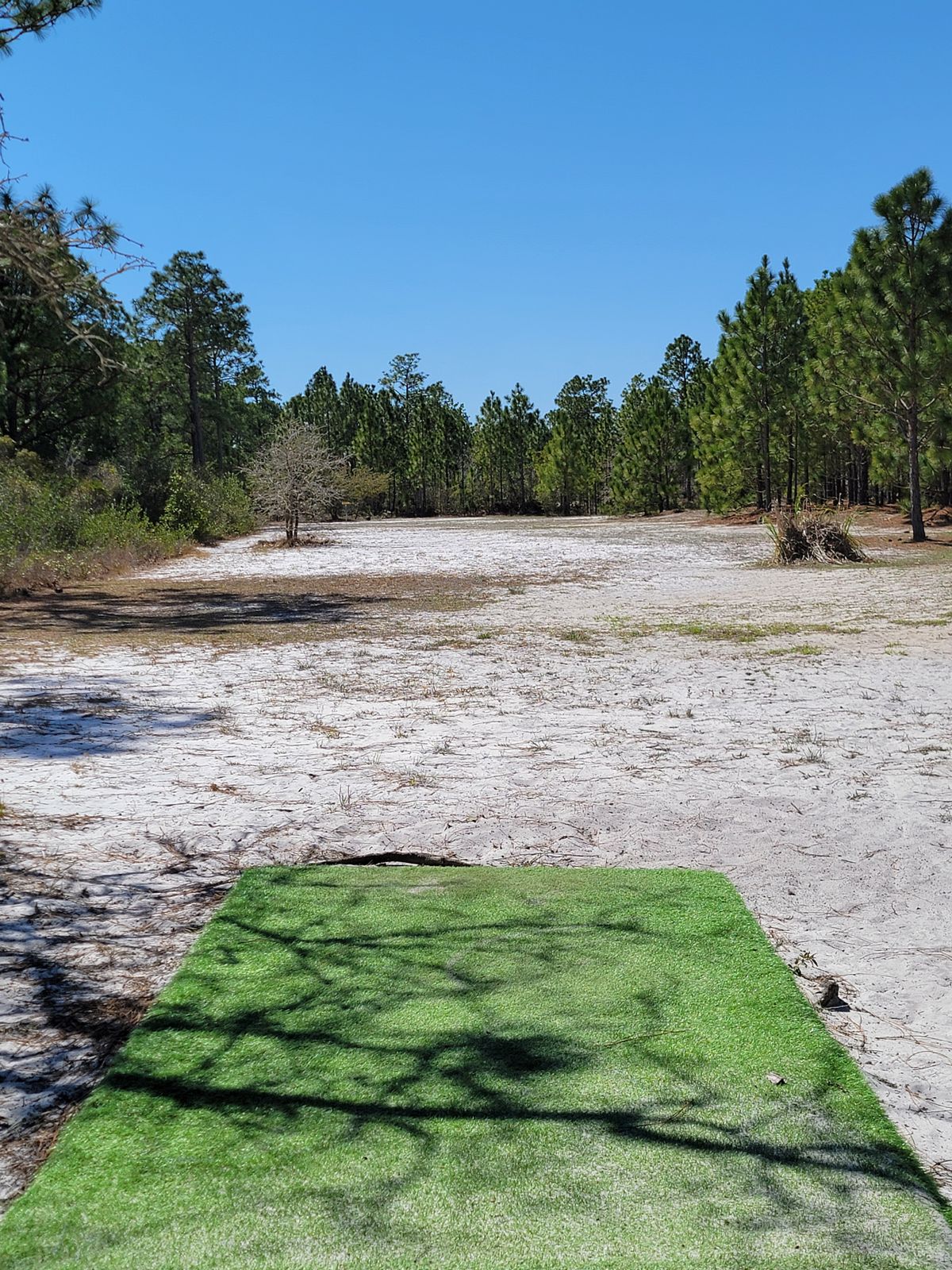 Hole 3 tee