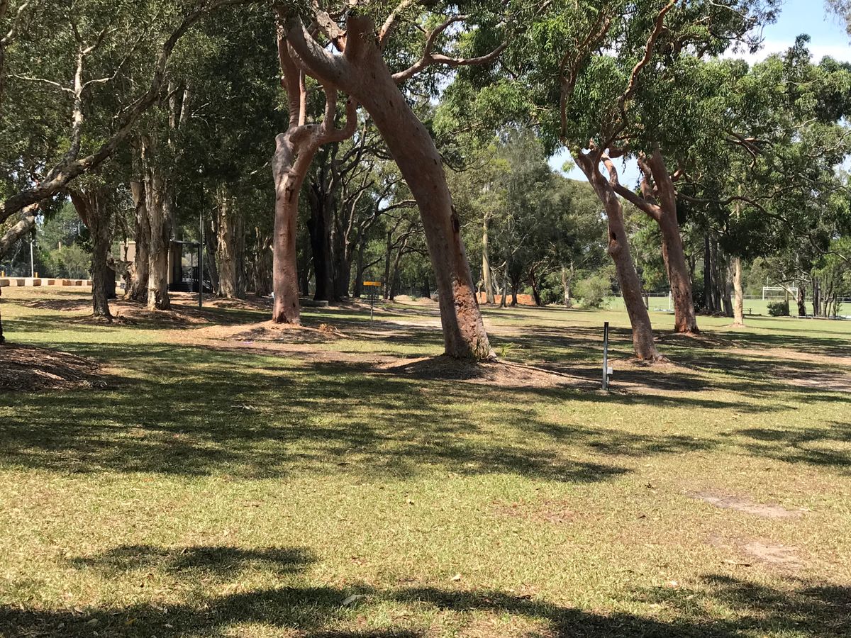 Hole 3