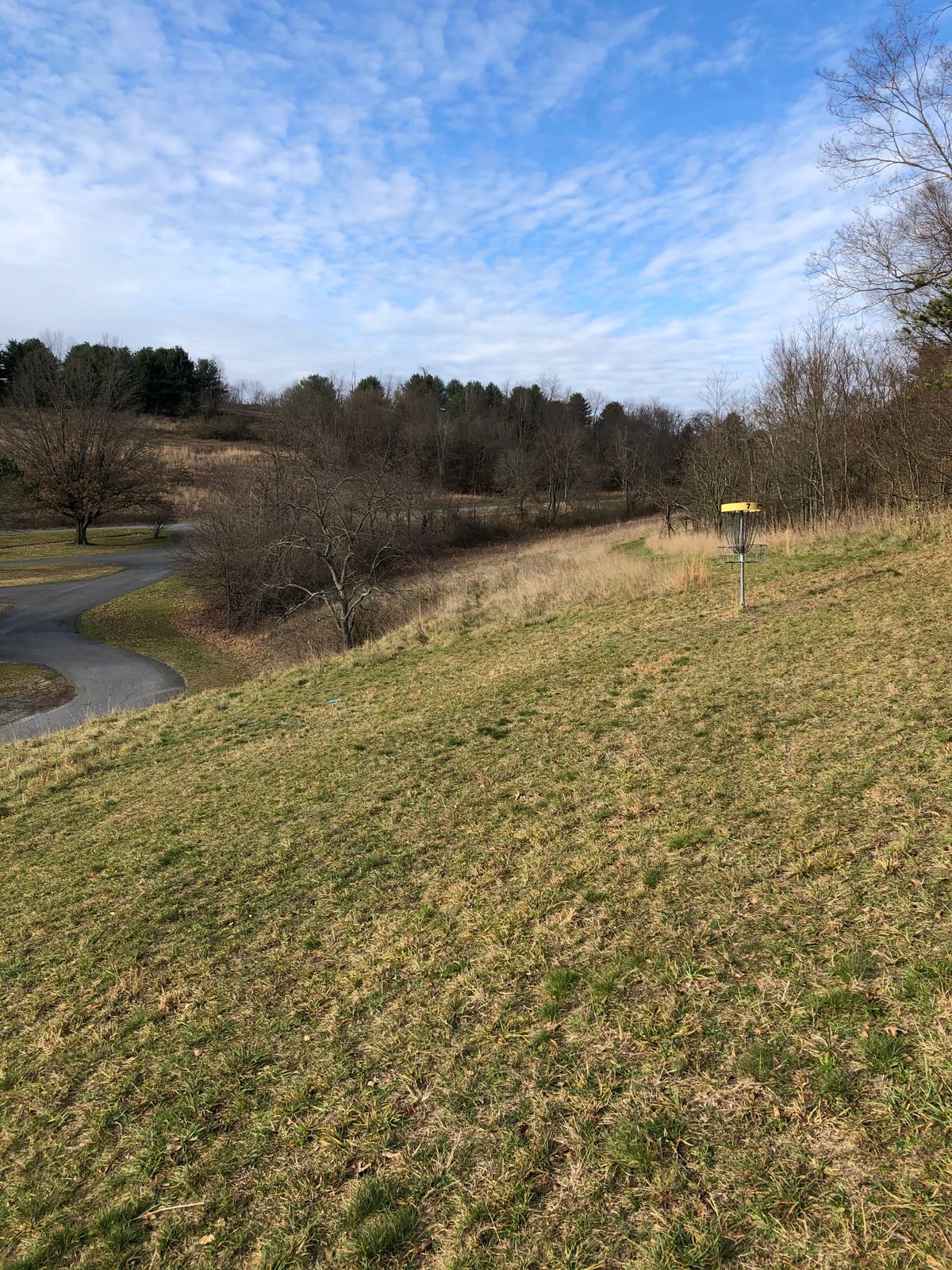 Hole 7 basket