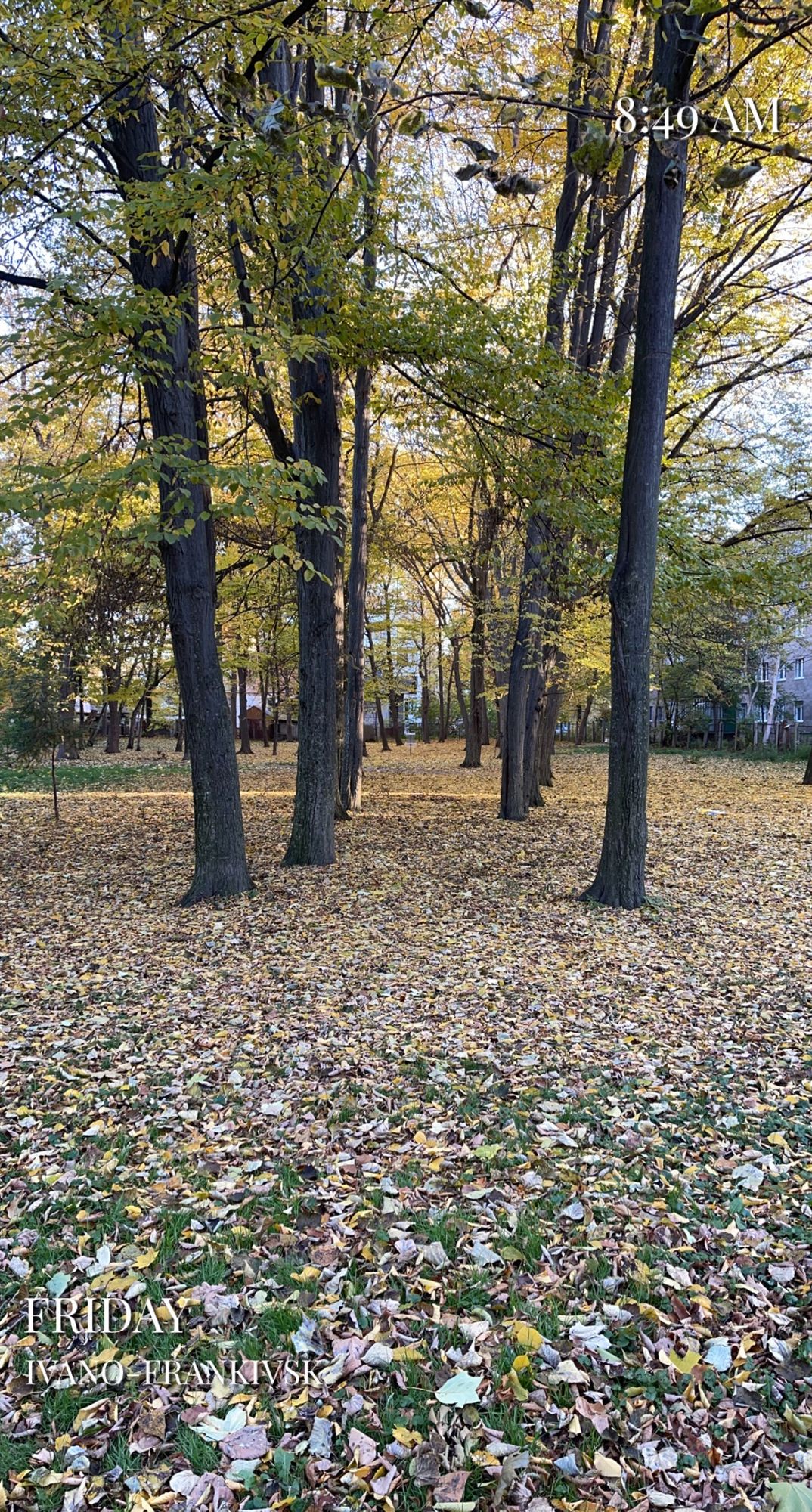 Hole 5
