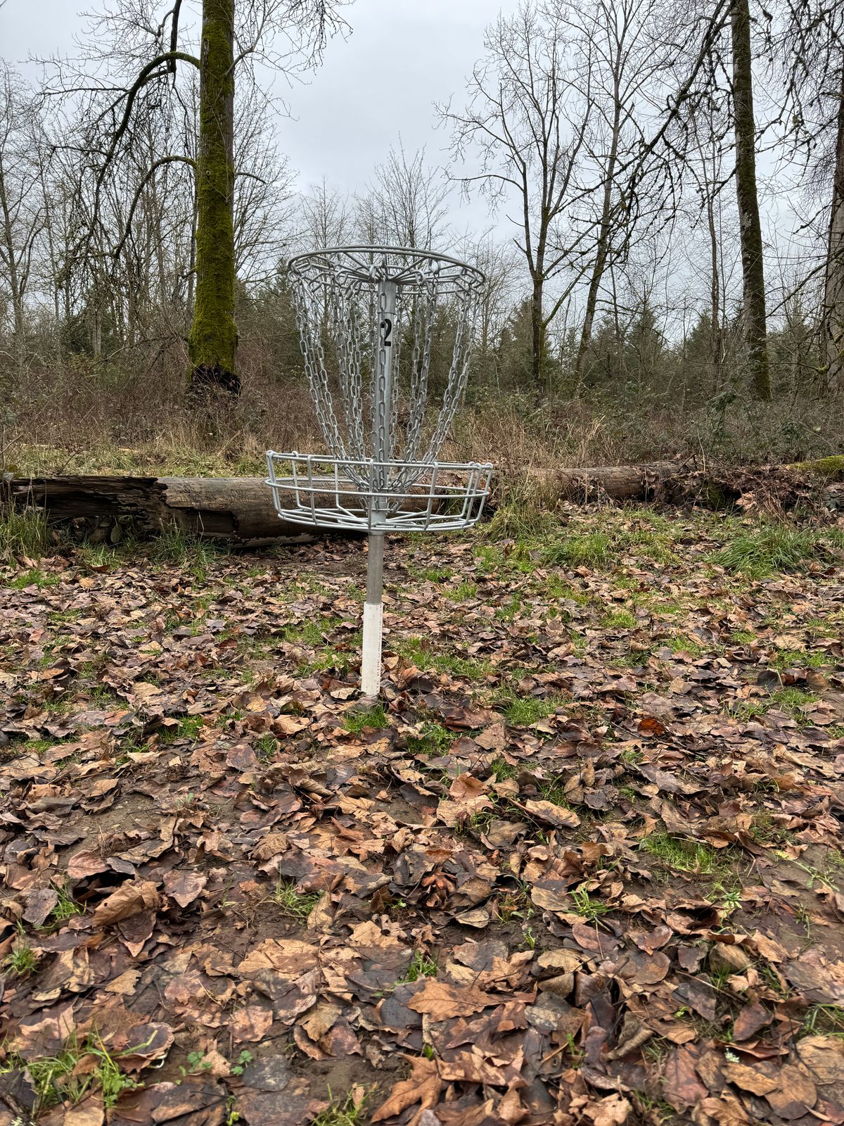 Basket 3 in the winter.