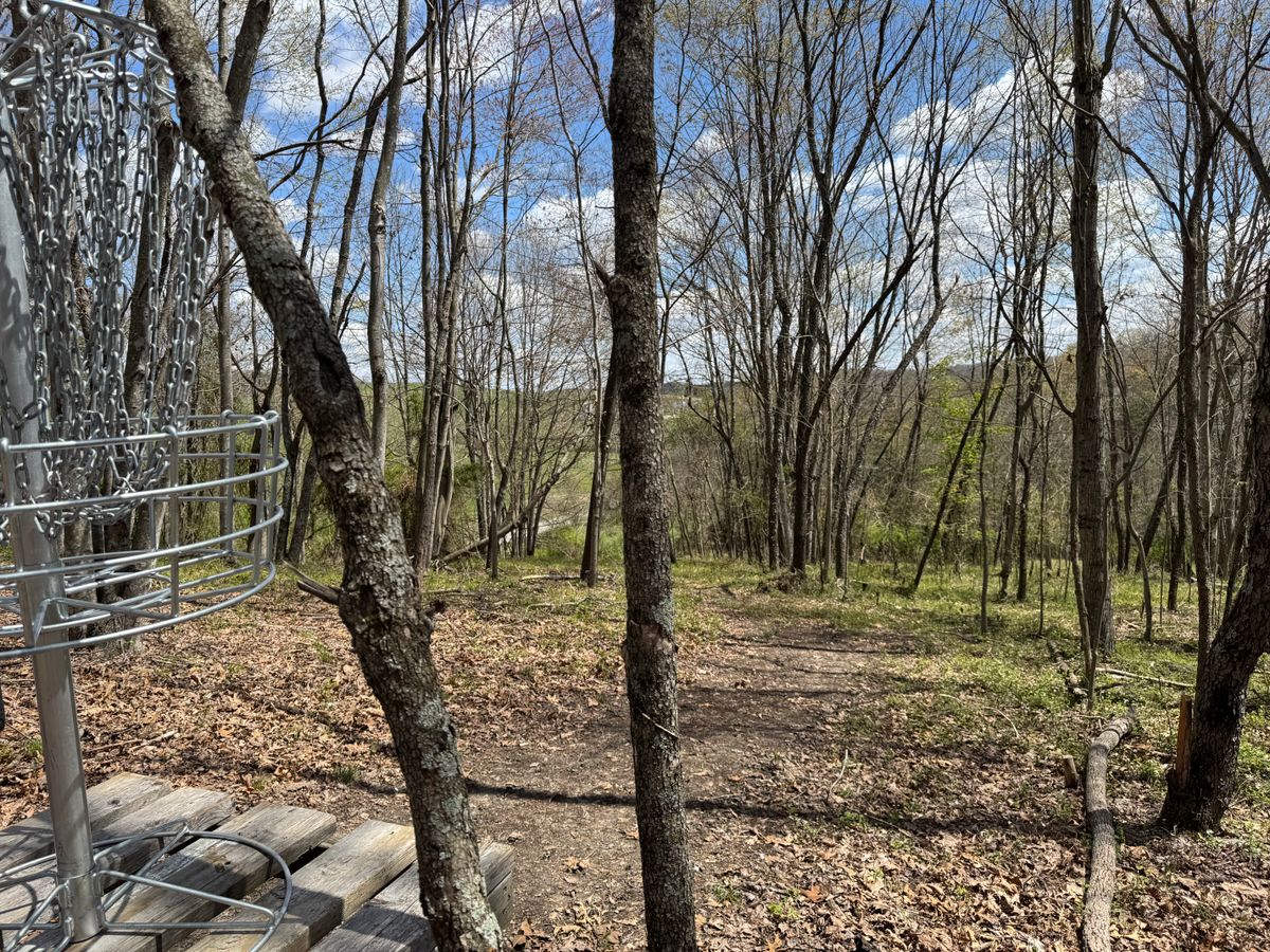 Hole 12 basket towards fairway. Highest point of Johnson Farm