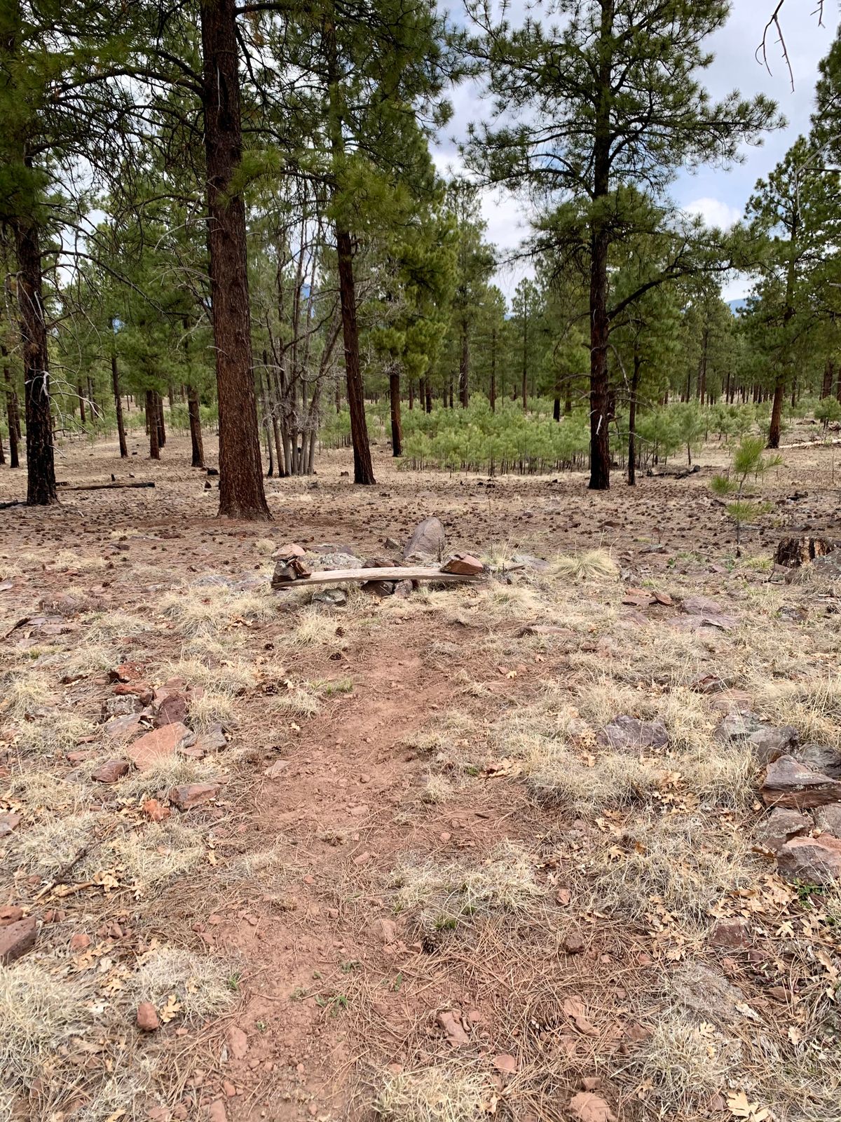 Hole 13