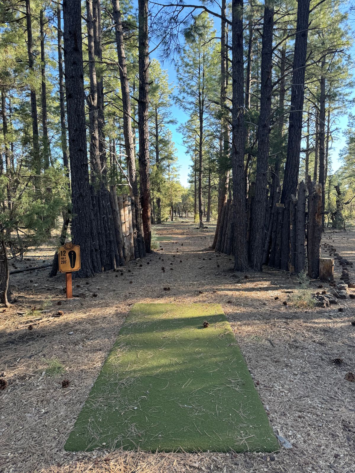 Hole 12 Tee