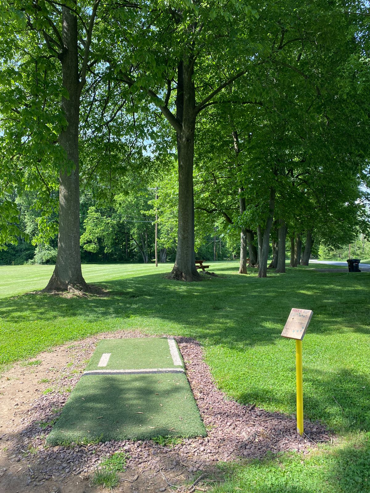 Hole 4