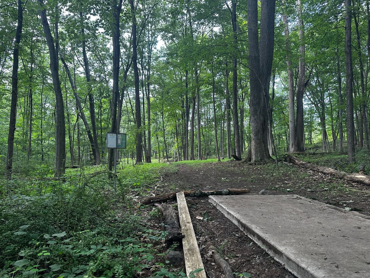Concrete Pad of hole 4