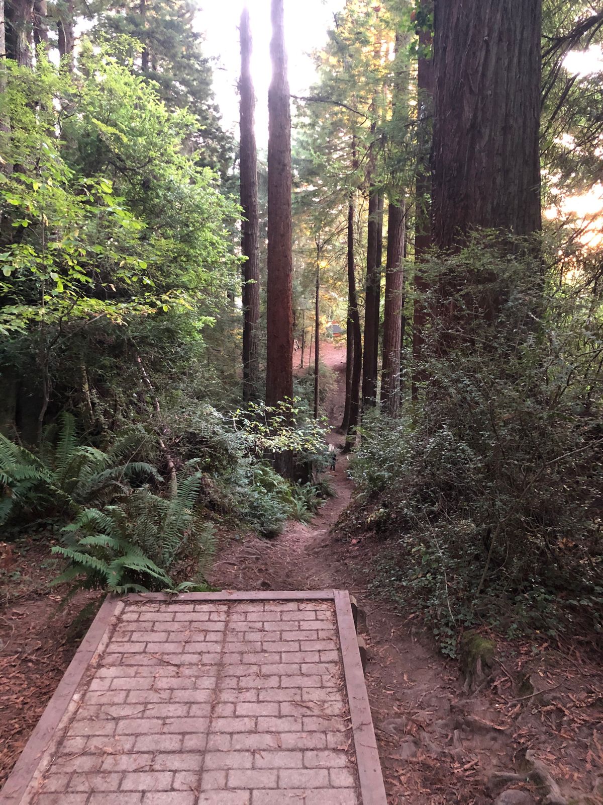 Hole 18 tee pad- this was such a fun shot!! I think they call it stairway to hell